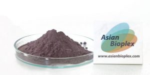Black Galingale Extract Powder