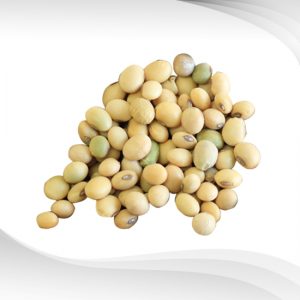สารสกัดโปรตีนถั่วเหลือง ชนิดผง : Soy Protein Isolate Powder