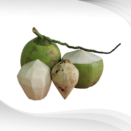 Coconut Extract Liquid : สารสกัดมะพร้าว ชนิดน้ำ