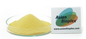 Asianbioplex Fingerroot Extract Powder