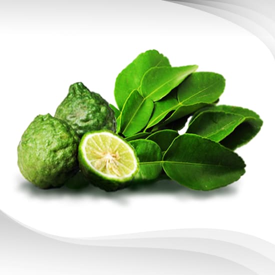 Kaffir Lime Leaf Essential Oil