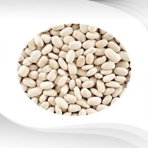 สารสกัดถั่วขาว : White Kidney Bean Extract Powder
