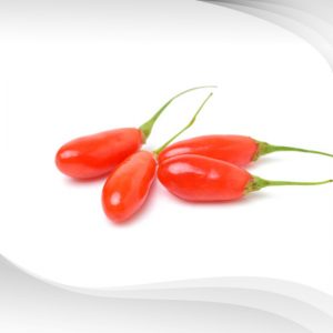 สารสกัดโกจิเบอร์รี่ : Goji Berry Extract Powder
