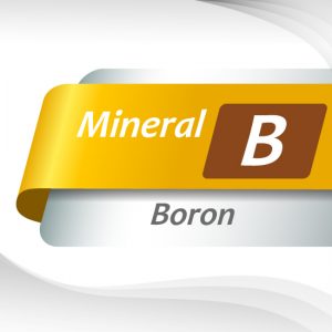 Boron Amino Acid Chelate Powder, 4.5-7.0%