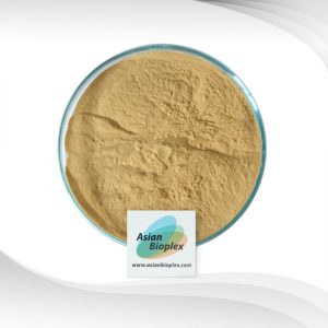 Terminalia Chebula Extract Powder