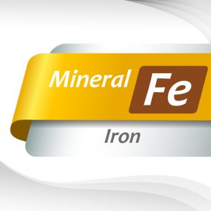 Iron : Powder