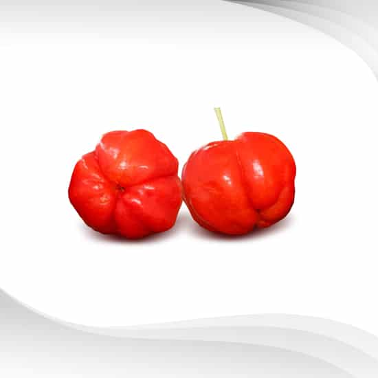 Acerola cherry extract - Acerola Extract - Acerola Cherry