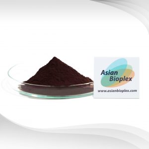 Bilberry Extract - Bilberry Powder - Anthocyanoside