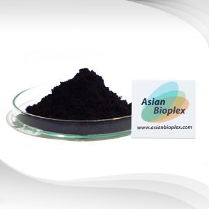 Blueberry extract - Blueberry powder