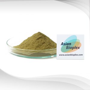 Spinach Extract - Spinach Powder