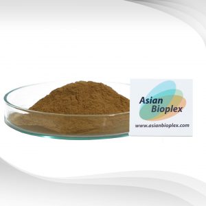 Green Coffee Bean Extract Powder สารสกัดเมล็ดกาแฟ 1