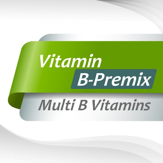 Vitamin Premix Multi B : วิตามินบีรวม