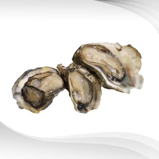 Oyster Extract Powder : สารสกัดหอยนางรม ชนิดผง