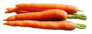 Carrot Extract Powder 100% produced from root of species, Daucus carota.