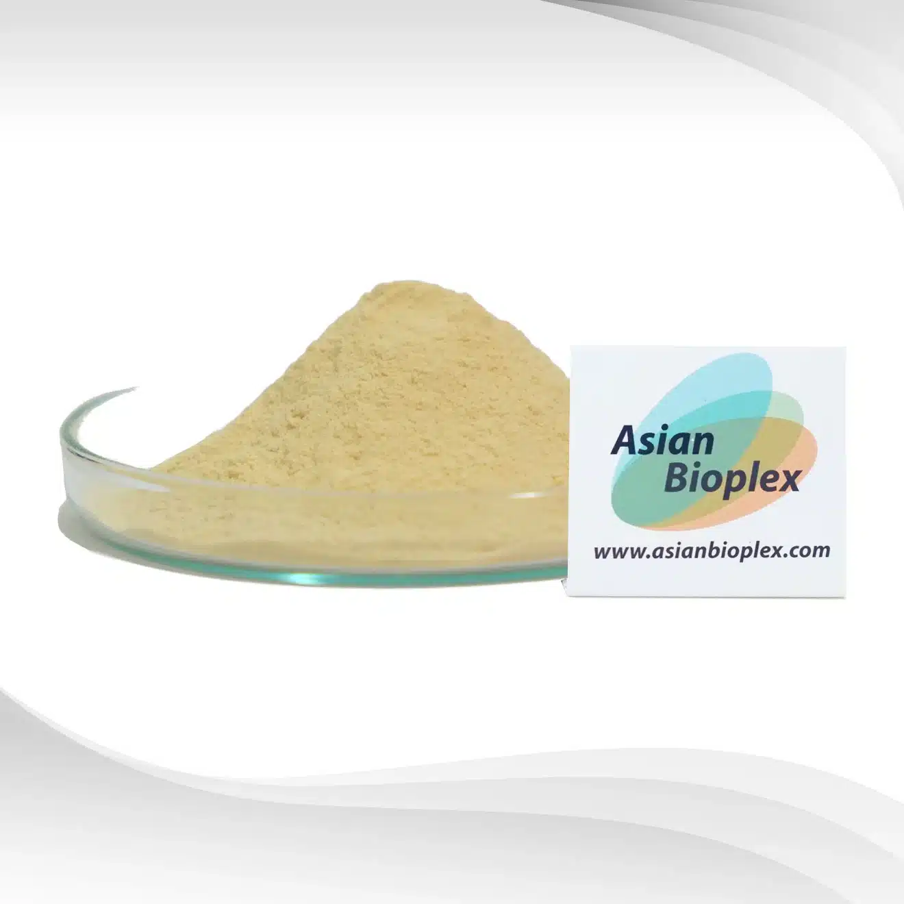 Angelica-Extract-Powder-_Dong-Quai__Side-View