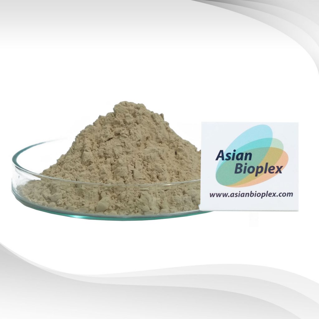 Yeast Beta Glucan Powder, 85% : เบต้ากลูแคน 85% ชนิดผง ผลิตจากยีสต์ (สำหรับสัตว์เลี้ยง)