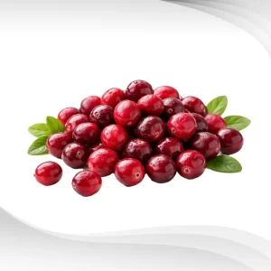 Cranberry-Extract-Powder