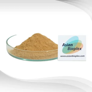 Galanga-Extract-Powder_Side-View