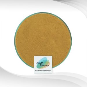 African Mango Seed Extract Powder 1