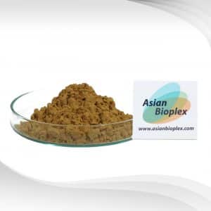 Camu Camu Extract Powder