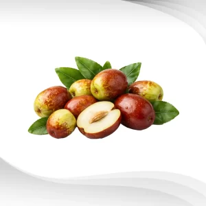 Jujube-Extract