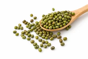 Vigna radiata (L.) R.Wilczek