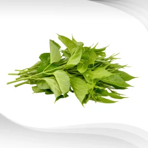 Gymnema-Extract-Powder