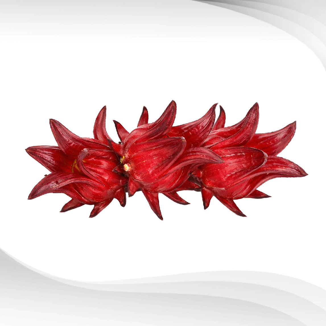 Hibiscus-sabdariffa-Extract Hibiscus-sabdariffa-Extract