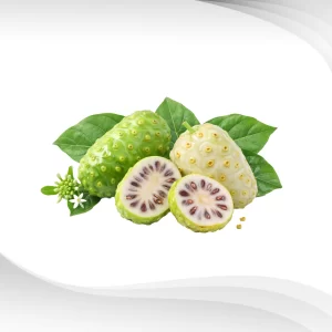 Morinda-citrifolia-L.