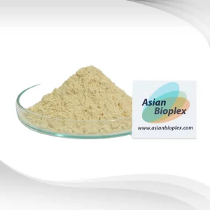 Yeast-Powder-_Protein-50___Top-View