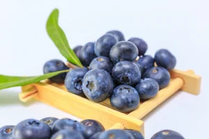 bilberry fruit
