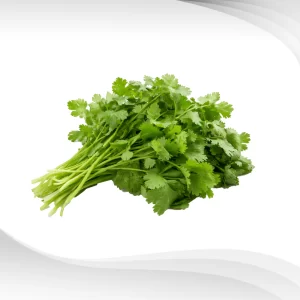 Coriander-Extract-Powder