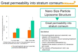 Great-permeability-into-stratum-corneum