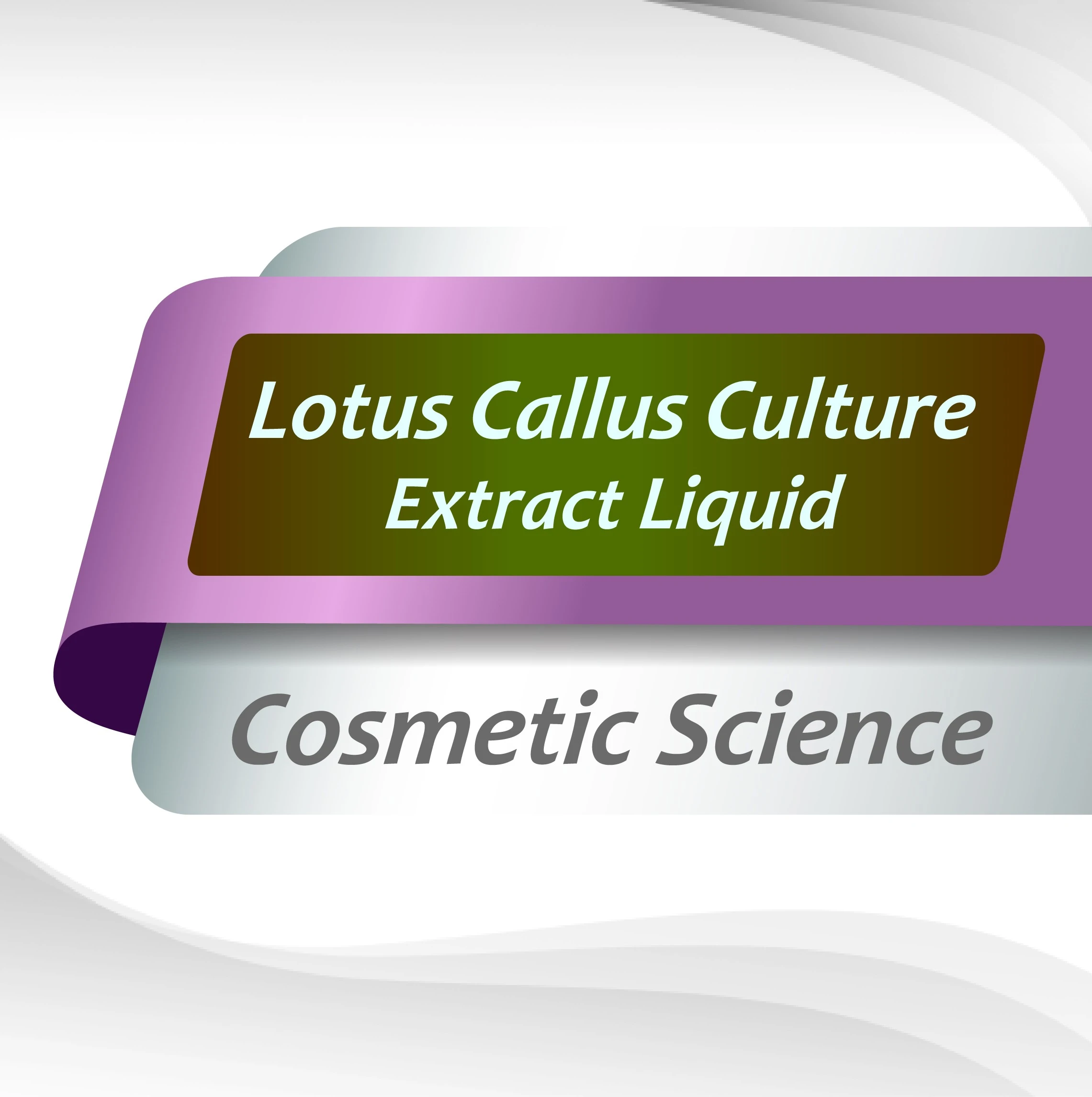 สารสกัดเนื้อเยื่อจากเมล็ดของดอกบัว