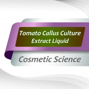 Tomato-Callus-Culture