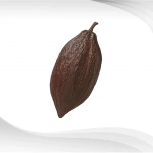 Organic-Cacao-Powder